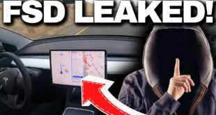 TESLA FSD BETA 10 just got in HUGE trouble!