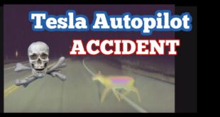 Tesla Autopilot Hits a Deer (and I think it will happen again.)