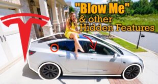 NEW Tesla Hidden Features & Party Tricks in 2021