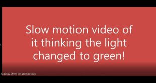 Autopilot Makes a BIG Mistake on It's Sunday Drive on Wednesday