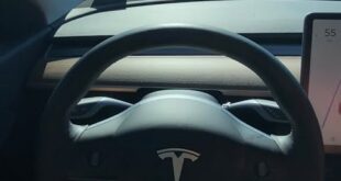 Tesla Autopilot #windyroad #shorts #Tesla #youtube