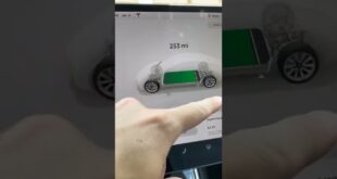 When You Have A Tire Problem With Your #Tesla #shorts