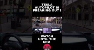 TESLA AUTOPILOT IS FREAKING OUT