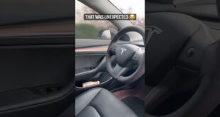 Tesla’s autopilot level: 1000 😂