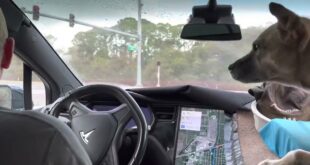 Left Turn FAILS w/ TESLA AutoPilot Full Self Driving BETA | FSD
