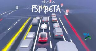 Tesla FSD Beta Self Driving Autopilot Testing #tesla #short #teslamodel3 #facts  #fsd #tiktok