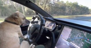 The TESLA AutoPilot FULL SELF DRIVING Beta EXPERIENCE !