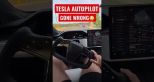 WOULD YOU DO THIS IN A TESLA?! 😔😩 PLAID AUTOPILOT FAIL #Shorts