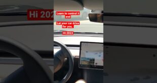 Fsdbeta says happy new year early #shorts #car #elonmusk #autopilot #modely #model3 #tech #tesla #ev