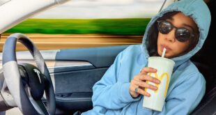 Tesla Autopilot Roadtrip for 24 Hours *chaos*