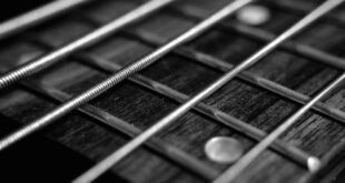 Breaking Concert Alert: The 17th Annual Chi-Town Blues Festivals show in Hammond, IN Apr 8th, 2023