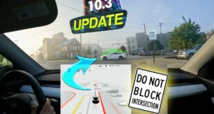 Tesla FSD Beta Brings MASSIVE Changes with Vision Only Parking! (and some bugs) | Update 10.3