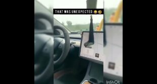 THAT WAS UNEXPECTED 🤣😂😂|TESLA AUTOPILOT|FUNNY 😂