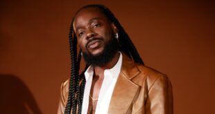 Breaking Tour announcement alert: Tribeville Concert Musics concert in Houston, TX Nov 26th, 2022