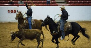 Presale Alert: Dixie National Rodeo featuring Mark Chestnutt at Mississippi Coliseum in Jackson Feb 12th, 2023