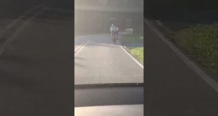 Tesla Model X FSD Beta & AutoPilot Avoids Cyclists on Road without Issue Dummy Dan O’Dowd. Worked.