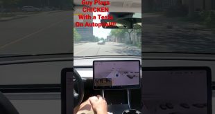 Guy Plays Chicken with a Tesla on Autopilot!!! #tesla #fsdbeta