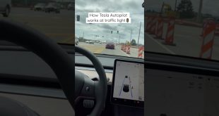How Tesla autopilot works at traffic light. 🚦