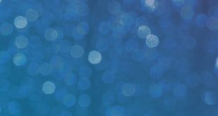 Coming soon: Critical Conversation: Book Banning and the Freedom of Expression in Red Bank, NJ Mar 23rd, 2024