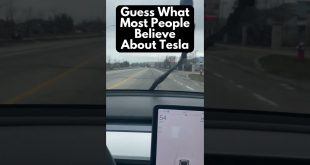 Guess What Most People Believe About #Tesla #shorts