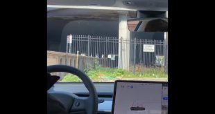 Watch Tesla’s Full Self-Driving Beta V11 Avoid Various Obstacles