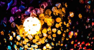 Coming soon: Cherry Lemonade Presents Portland Pride 2023s show in Portland, ME Jun 16th, 2023