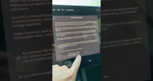 TESLA full self driving beta open for everyone?!