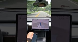 🔥Tesla FSD Beta🆚Animals🦅 #shorts #tesla  #elonmusk #tech #technology #autopilot #fsdbeta