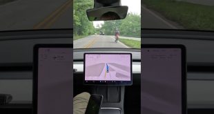 👌FSD safe cyclist takeover🚴‍♂️ #shorts #tesla  #elonmusk #tech #technology #autopilot #fsdbeta