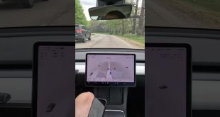 🐕FSD recognizes dogs🔥 #shorts #tesla  #elonmusk #tech #technology #autopilot #fsdbeta