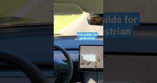 Fsd beta autopilot tesla self driving always stops for pedestrians of all sizes #shorts #elonmusk