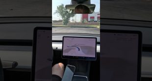 🐢Turtle undetected🥲 #shorts #tesla  #elonmusk #tech #technology #autopilot #fsdbeta