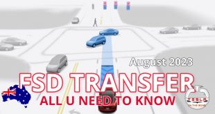 Unlocking Tesla FSD Beta Transfer Secrets! | teslainthegong.com