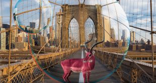 New Concert ALERT: Eggy in Boston, MA Nov 16th, 2023