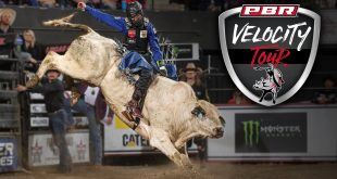 A chance to buy presale tickets early for PBR: Velocity Tour at American Bank Center Arena in Corpus Christi May 4th, 2024