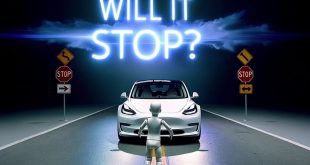 Will Tesla Self Driving Hit a Child Mannequin? | FSD Beta