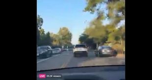 Watching Elon Musk Live Stream Full Self-Driving Version 12