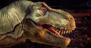 Live entertainment alert: Jurassic World Live Tour at Smoothie King Center in New Orleans Feb 4th, 2024