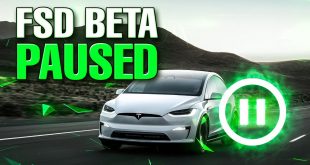 Tesla PAUSED FSD Beta Rollout! I Wasted 0 So You Don’t Have To