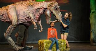 Breaking Presale codes: Dinosaur Zoo Live!s show in Lynn, MA Feb 19th, 2024