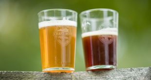 Live entertainment news flash: TAPNY Fesitval at Bethel Woods Center for the Arts in Bethel May 18th, 2024