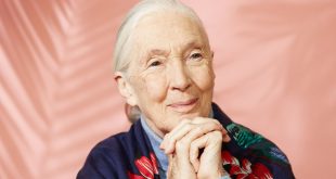 Important Presale Code: An Evening with Jane Goodall: Celebrating 90s show in Vancouver, BC Apr 12th, 2024
