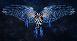 Do you want to get presale tickets early to see The Eagles Experiences concert in Portsmouth, NH Apr 10th, 2024