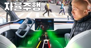 목숨 걸고 테슬라 자율주행 믿으면 벌어지는 일 FSD Beta 시승기