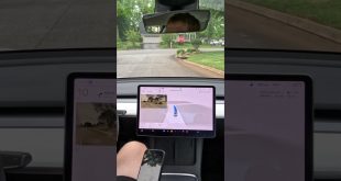 😿FSD Beta doesn’t like cats?🐈 #shorts #tesla  #elonmusk #tech #technology #autopilot #fsdbeta